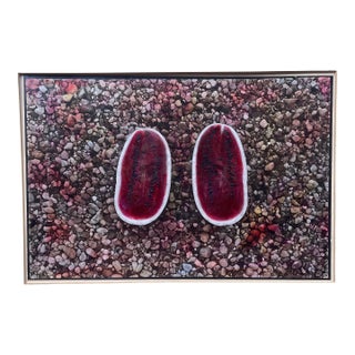 1978 Rita DeWitt Cahaba Watermelon Color Photograph For Sale