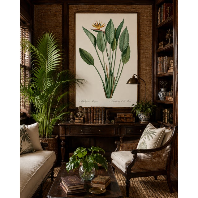 Bird of Paradise Illustration, Vintage Botanical Art Print Reproduction, 12" X 18" For Sale In Buffalo - Image 6 of 10
