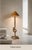 Vintage Audoux Minet Style Coastal Organic Sculptural Rope Knot Floor Lamp For Sale - Image 13 of 17