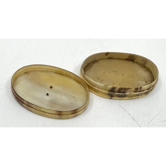 19th Century Three Horn, Silver and Wood Trinket or Snuff Boxes For Sale - Image 13 of 18