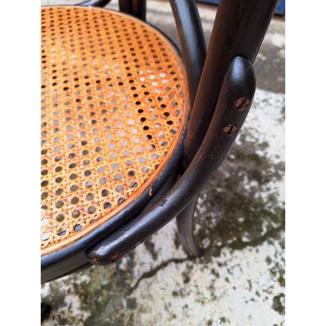 Model 21 Chairs in Beech and Straw, Austria, 1970s, Set of 6 For Sale - Image 15 of 17