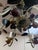 Green Vintage Italian Tole Chandelier With Pears and Plums For Sale - Image 8 of 9