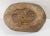 19th Century or Earlier Rustic Carved Primitive Farmhouse Trencher Dough Bowl For Sale - Image 10 of 12