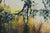 Contemporary Untitled, ca 2010 by Ernie Gallegos | Pastel on board Landscape with trees and water. For Sale - Image 3 of 5
