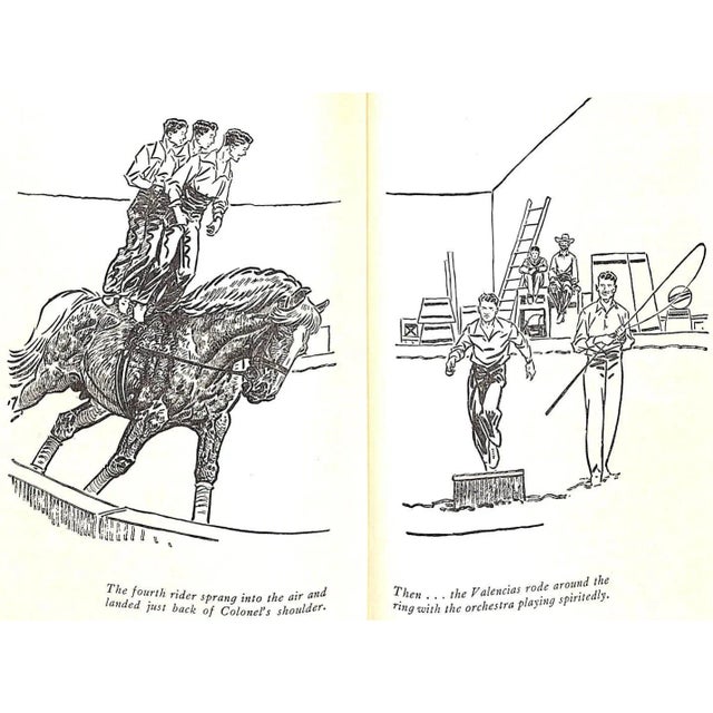 "King of the Stallion" Book 1947 Tracy, Edward B. For Sale In New York - Image 6 of 9