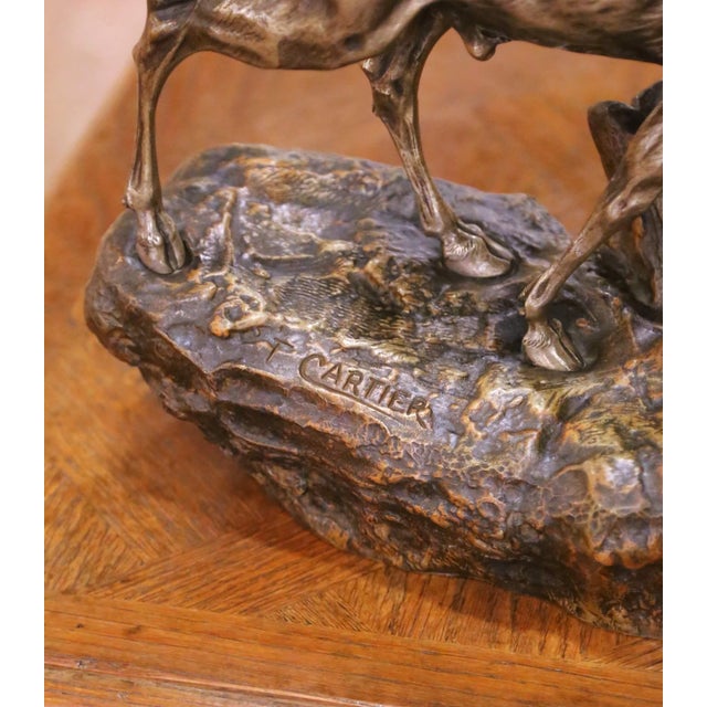 French Early 20th Century French Bronze Stag Fight Composition by Thomas F. Cartier For Sale - Image 3 of 10