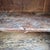19th Century Folk Art Larch and Chestnut Shepherds Cupboard For Sale - Image 11 of 18