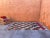 Moroccan Handwoven Vintage Rug - 5'2" X 10'2" Ft For Sale - Image 10 of 11