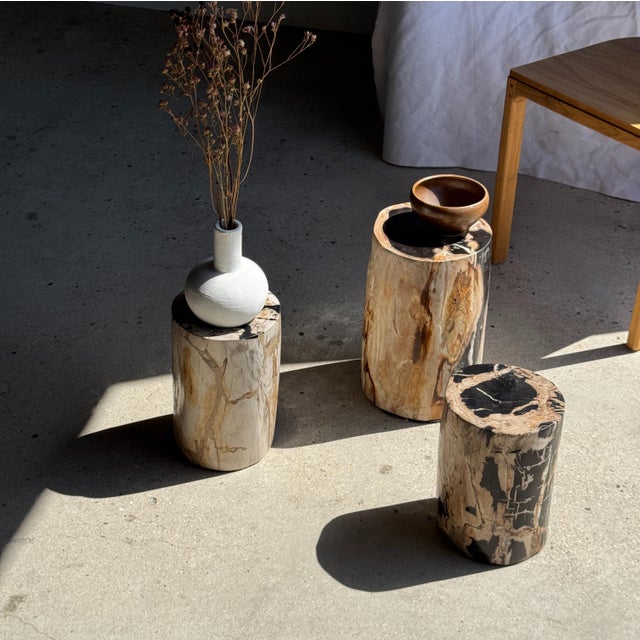 Small Side Table in Petrified Wood, Black Heartwood, Bark with Black and Beige Streaks, 1980s For Sale - Image 12 of 18
