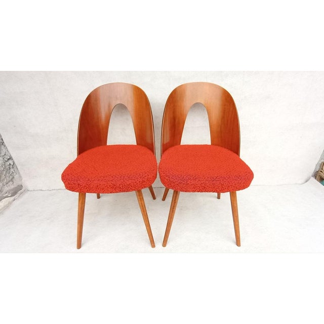 Mid-Century Dining Chairs by Antonin Suman, 1960s, Set of 2 For Sale - Image 11 of 13