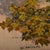 Narcisse Ancelme, Landscape with Lake, Early 20th Century, Oil on Canvas For Sale - Image 7 of 9