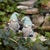 Bring charm and personality to your home or garden with this enchanting set of Garden Gnome Figurines. Designed with...