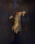 Adrift by Ryan Morse | Oil on Cradled Board Painting of a figure floating in dark water For Sale