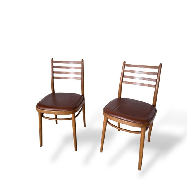 1960s Mid-Century Modern Czechoslovakian Dining Chairs, 1960s, Set of 2 For Sale - Image 5 of 8