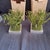 American Michael Arams Beaded Grass Votives - Set of 2 with boxes For Sale - Image 3 of 9