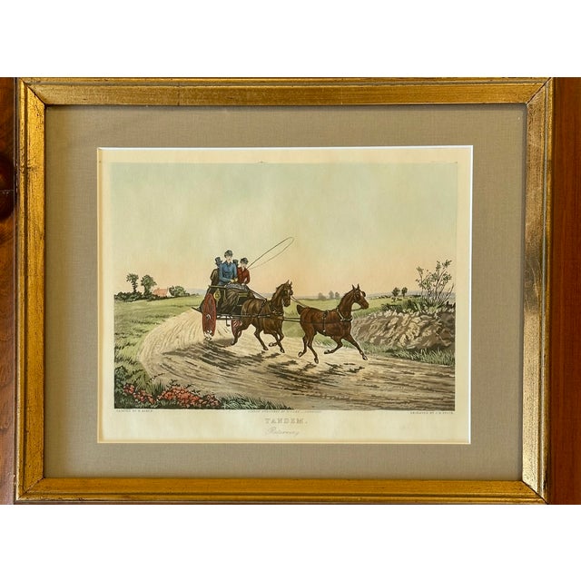 English "Tandem", Horse Carriage Scene, Framed Original Print, 1820 For Sale - Image 3 of 5
