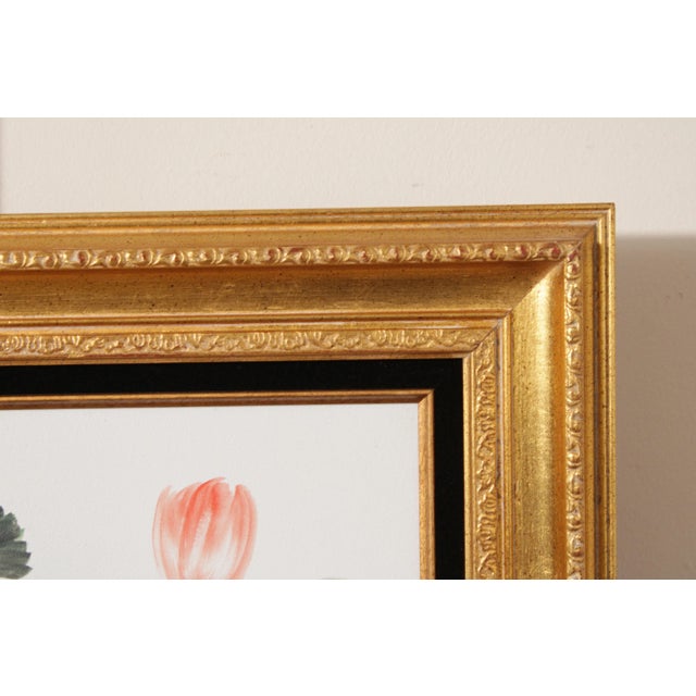 Vintage Chinese Water Lily Watercolor Painting For Sale In Philadelphia - Image 6 of 13