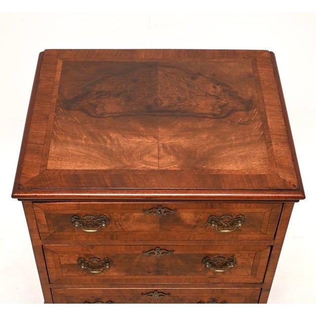 Wood Antique Burr Walnut Chest on Legs, 1880 For Sale - Image 7 of 10