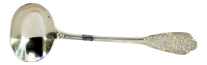 Silver Sauce Spoon with Groove