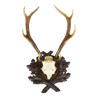 Large Black Forest Red Deer Trophy on Carved Plaque - Germany 1935 For Sale