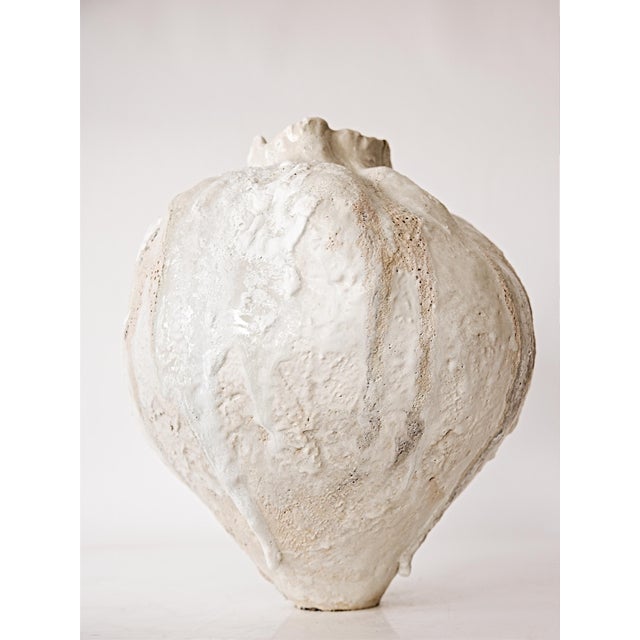 Contemporary Orbicella Moon Vase For Sale - Image 3 of 7