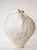 Contemporary Orbicella Moon Vase For Sale - Image 3 of 7