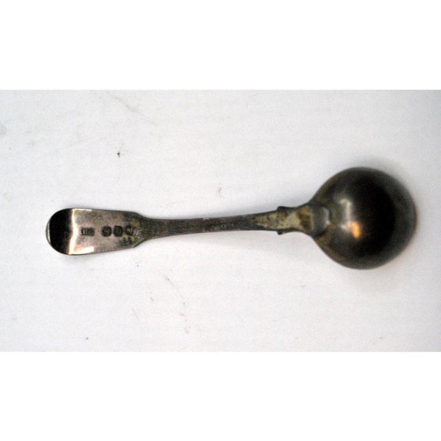 Silver Sugar Spoon with Animal Figure Engraved For Sale - Image 5 of 7