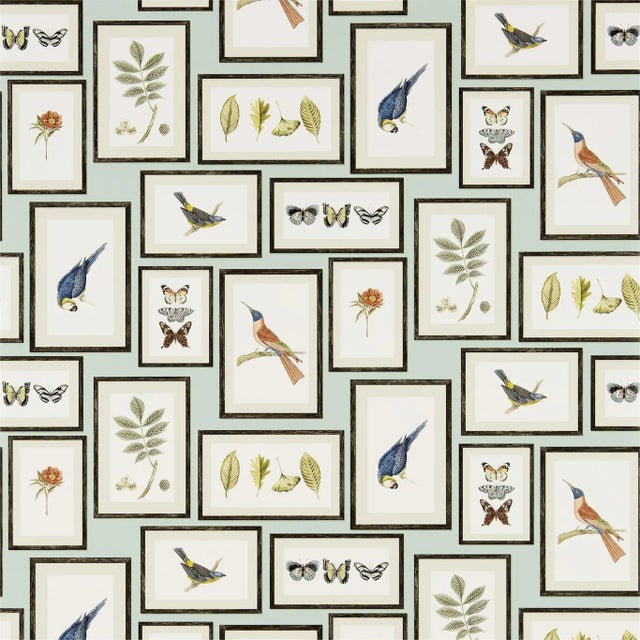 Sanderson Picture Gallery Wallpaper in Aqua/Multi - a Sample For Sale