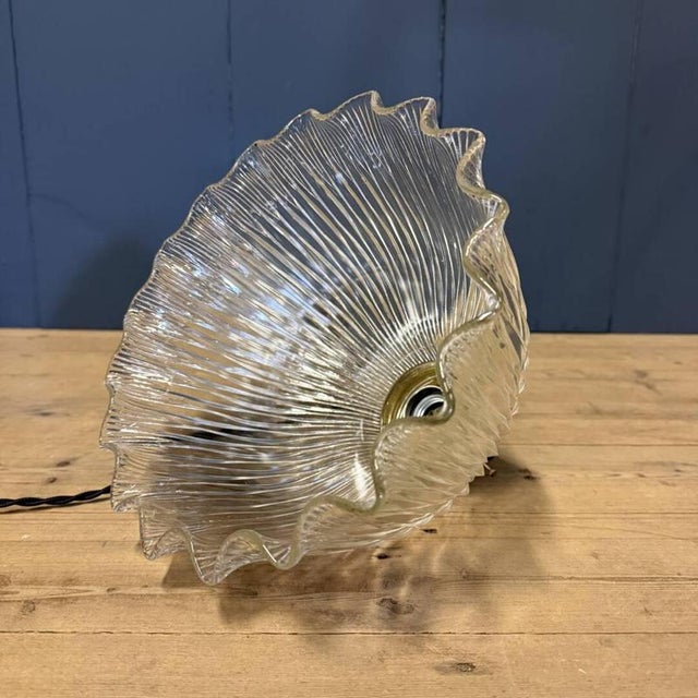 Asteroid Pressed Glass Holophane Pendant Lamp with Brass Fixture, 1920s For Sale - Image 18 of 18