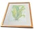 A refined decorative botanical featuring the fern Elaphoglossum villosum, reproduced as a fine art giclée from an antique...