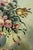 Carlo De Tommasi, Flowers, 2018, Oil on Canvas, Framed For Sale - Image 4 of 7