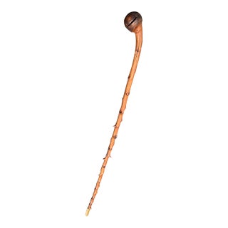 Antique Irish Blackthorn Burled Wood Shillelagh For Sale