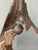 Sergio Castillo Mandiola, Abstract Sculpture, Chile, 1980s, Iron on Granite Base For Sale - Image 6 of 11