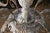 1940s Italian Rococo Revival Painted Wood & Gilt Wrought Iron 8-Light Chandelier For Sale - Image 15 of 18