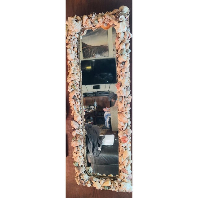 Elevate your space with this breathtaking, handcrafted shell mirror. Meticulously designed using a diverse collection of...
