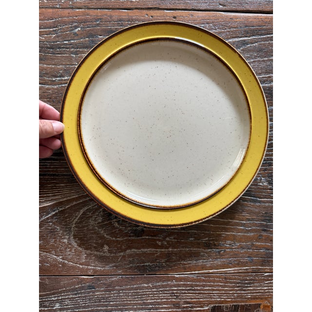 Rustic Vintage Rainbow Stoneware Citron 10.5 Inch Dinner Plates Yellow Brown Japan - Set of 5 For Sale - Image 3 of 10