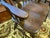 Wood 20th Century Pair of English Windsors Armchairs For Sale - Image 7 of 10