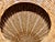 Resin Wicker Woven Urns - A Pair. This pair of woven resin reeds in the color of natural wicker reeds will enhance your...