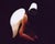 Vincenzo Marega, Composition 9, Nude, 2026, Canvas & Wood For Sale - Image 3 of 3