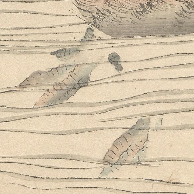 Late 19th Century Imao Keinen, Little Grebe from Keinen Kacho Gafu, 1892, Woodblock Print For Sale - Image 5 of 13