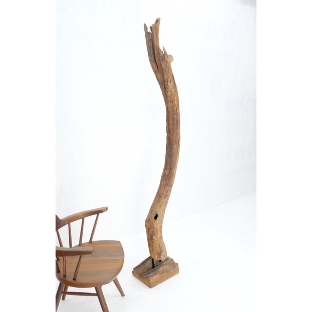 Mid Century Modern 78