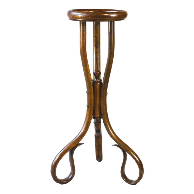 Art Nouveau Bentwood Flower Stand, 1890 For Sale