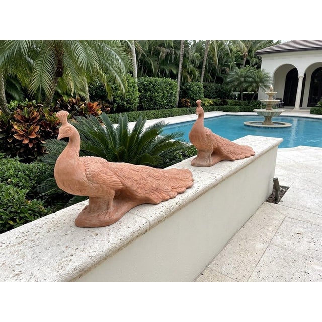 Ceramic Pair of Vintage Tuscan Terra Cotta Peacock Garden Sculptures For Sale - Image 7 of 12