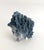 Natural Blue Coral Specimen For Sale In Los Angeles - Image 6 of 8