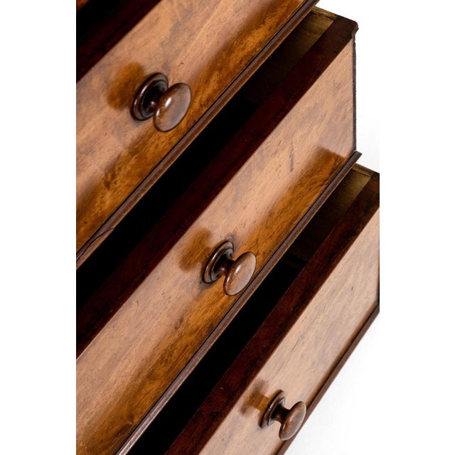 Scottish Chest of Drawers in Flamed Mahogany For Sale - Image 11 of 18