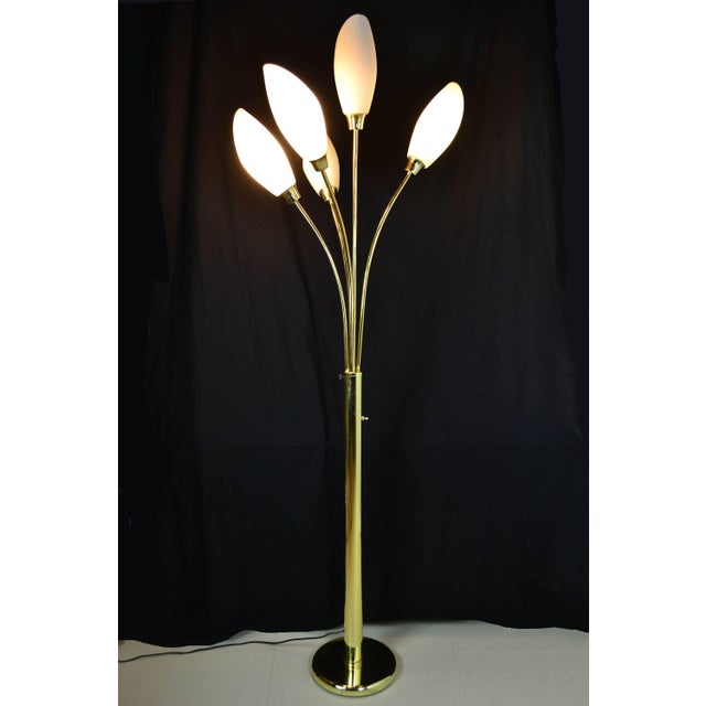 5 Light Floor Lamp Chairish