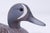 Blue William Gable Blue Winged Drake Duck Decoy For Sale - Image 8 of 12