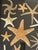 Contemporary Vintage Sea Stars Collection in a Shadow Box Greeting From Florida For Sale - Image 3 of 11