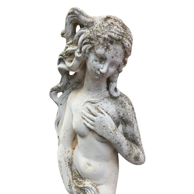 1950s Sculpture of Botticelli's Venus, 1950, Stone For Sale - Image 5 of 9