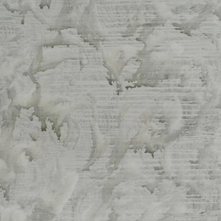 Schumacher X Colette Cosentino Valiant Wallpaper In Charcoal For Sale